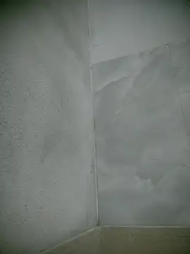 traiwe06 live sex cam