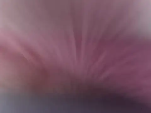 Zuttraa live cam on StripChat