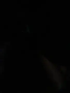 Petrossa live sex cam