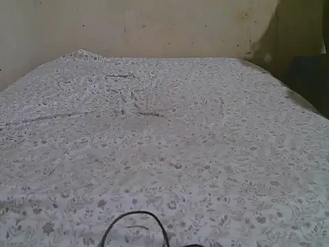FOXY-DOLLY live cam on StripChat
