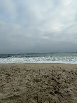 Catalina16_ live sex cam