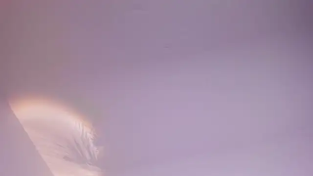 antonella_lee_x live cam on StripChat