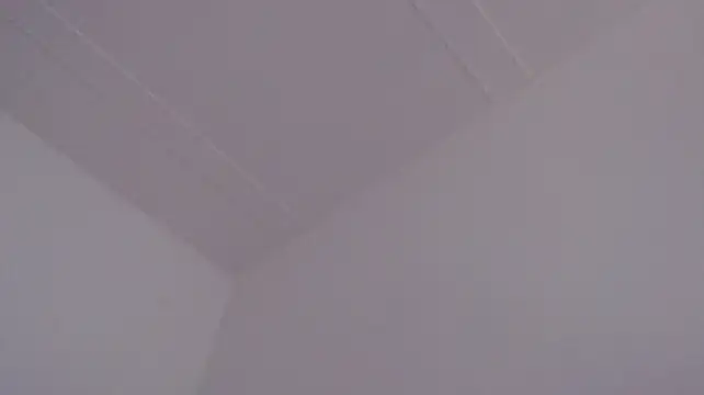 ElizabethMiler live cam on StripChat