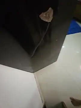 sexydishapatani live cam on StripChat