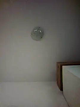 FallenDevil live cam on StripChat