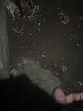 david0white1 live sex cam