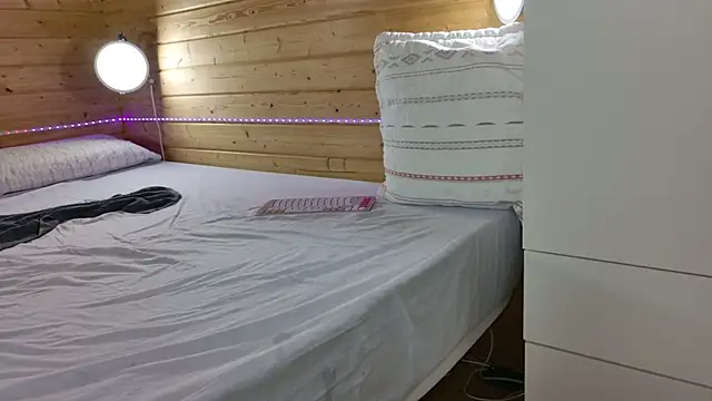 wild41 live cam on StripChat