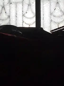 Minakshi-Gi live sex cam