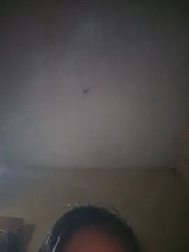 dialahassen live cam on StripChat