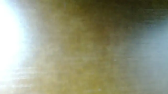 stripnolimits live cam on StripChat