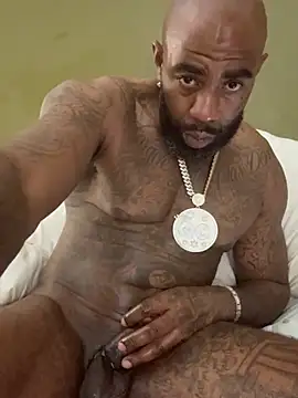 QHefner52 live cam on StripChat
