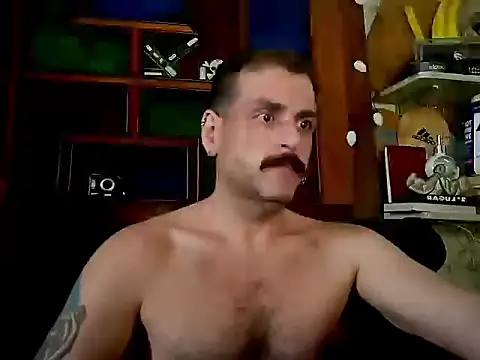 sih4vip live cam on StripChat