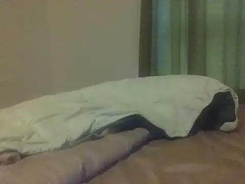 greeneyes0204 live cam on StripChat