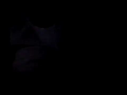 bogbosdick live cam on StripChat