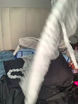 Butterfly_20 live cam on StripChat