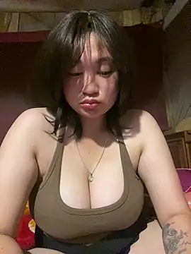 ha-cute live cam on StripChat