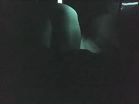 masan03 live cam on StripChat