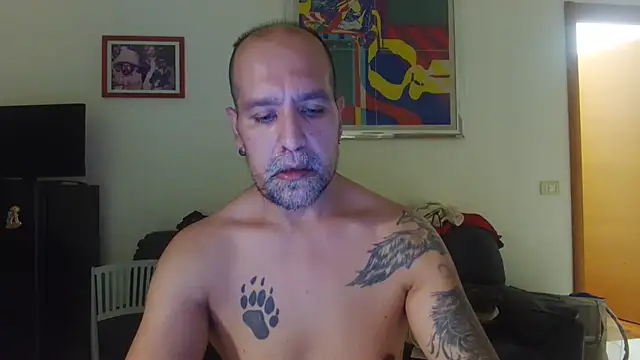 AMIRDIB2025 live cam on StripChat