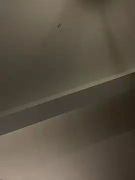 GeilerBull live sex cam