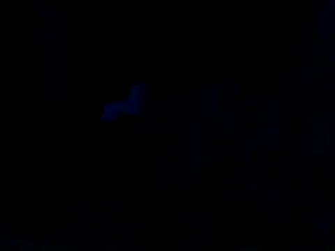 Silencio26 live cam on StripChat