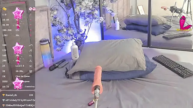 Candaceoweens live cam on StripChat