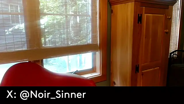 sinnernoir