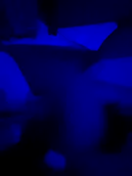 beautifulcock45 live cam on StripChat