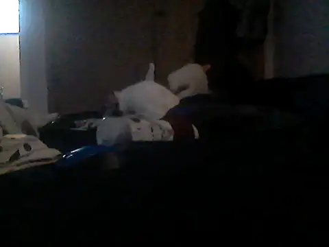 Silencio26 live cam on StripChat