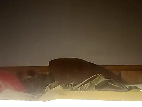 Cushington live sex cam