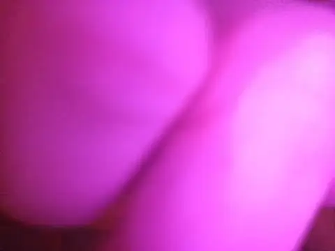 Turnuonxl live cam on StripChat