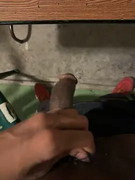 dingoding live sex cam
