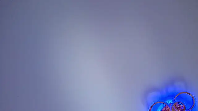PerryKitty live sex cam