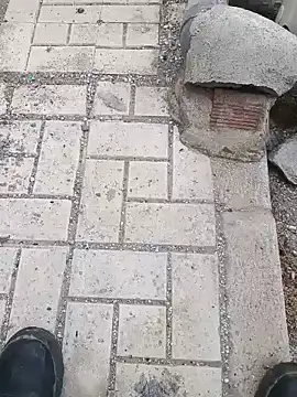 pocoyotop live sex cam