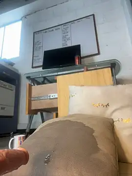 Nicolle_foxy live sex cam