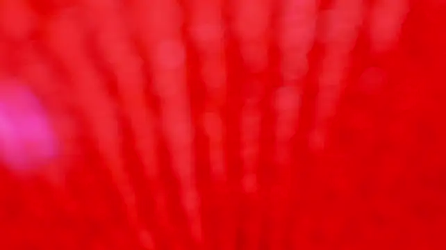 Alexxus_Smith live sex cam