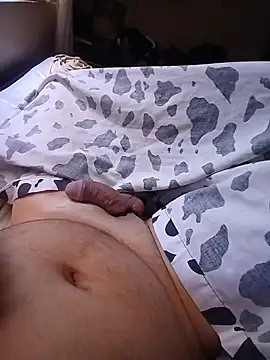 colochodotato live cam on StripChat
