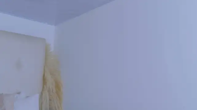SilvyStones live cam on StripChat