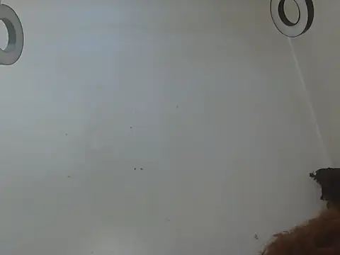 TThickblackpussy1 live cam on StripChat
