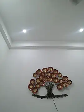 hottydisha live sex cam