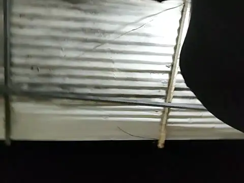 PIGHIGHDIRTY_p0 live sex cam