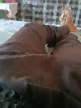 rajsinghfucking live sex cam