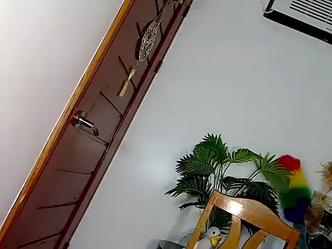 Miss_twinny21 live cam on StripChat