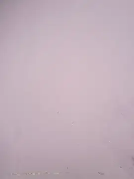 Tamirosy56 live cam on StripChat