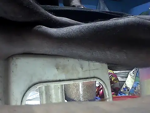 Precumking1 live cam on StripChat