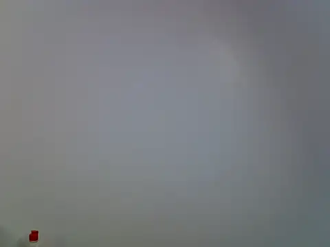 Calmfolower