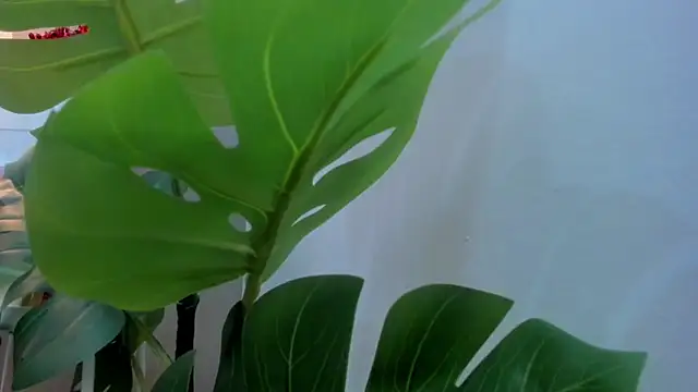 Scarleet_DH live cam on StripChat