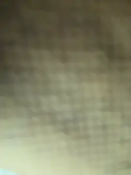 Amiraxevans