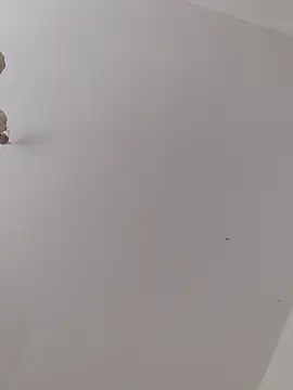 ThomasNackt live cam on StripChat