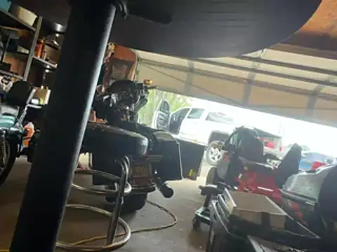 studlyhardwoodd live sex cam