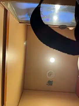 ValuedConcept687 live sex cam